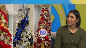 ¿Cómo descubrir un estilo navideño?