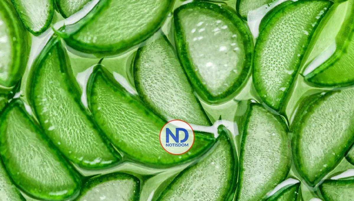 ¿Qué hace el aloe vera en la piel?