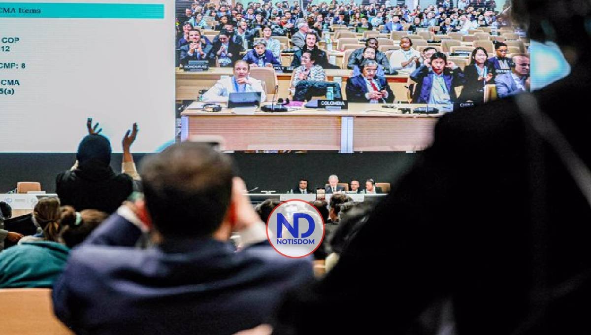 COP29 logra acuerdo US$300.000 millones en financiación climática 2 COP29 logra acuerdo US$300.000 millones en financiación climática