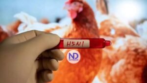 Detectan el primer caso de gripe aviar en un niño en Estados Unidos
