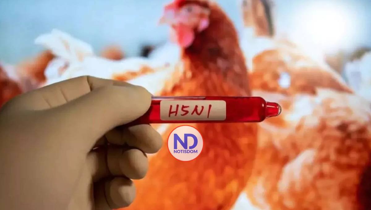 Detectan el primer caso de gripe aviar en un niño en Estados Unidos