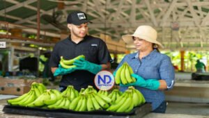 Santiago acogerá Significativo Foro de Desarrollo Empresarial