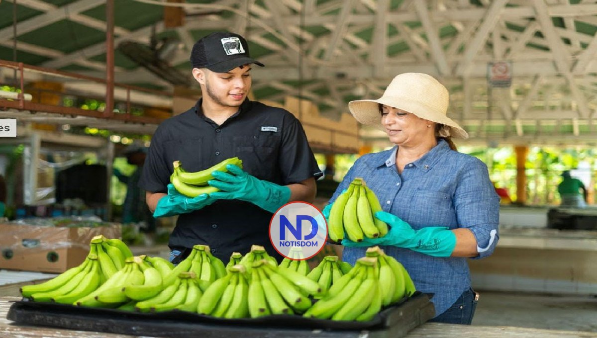 Santiago acogerá Significativo Foro de Desarrollo Empresarial 2 Santiago acogerá Significativo Foro de Desarrollo Empresarial