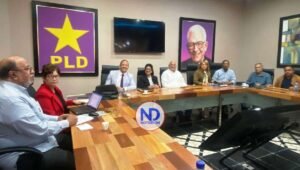 Conozca los 20 nuevos miembros del Comité Central del PLD en el exterior