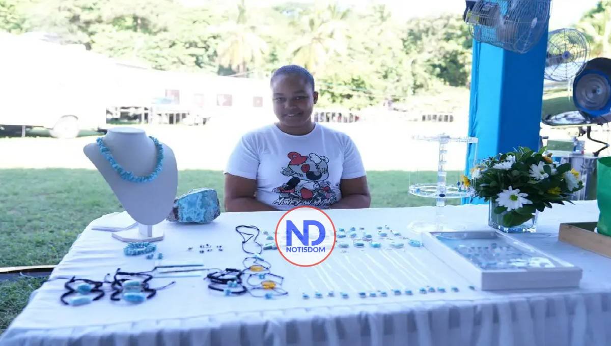 Dominicana exporta más de 55 mil libras de larimar en 2024
