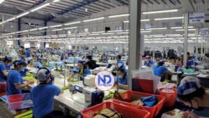 Zonas Francas es el sector que más creció en 2024, según el BC