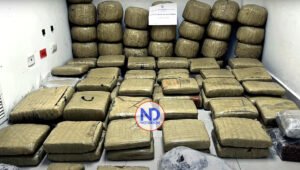 México confisca 750 kilos de marihuana cuyo destino era RD