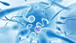 Desarrollan micro robots para abordar desafíos de la infertilidad