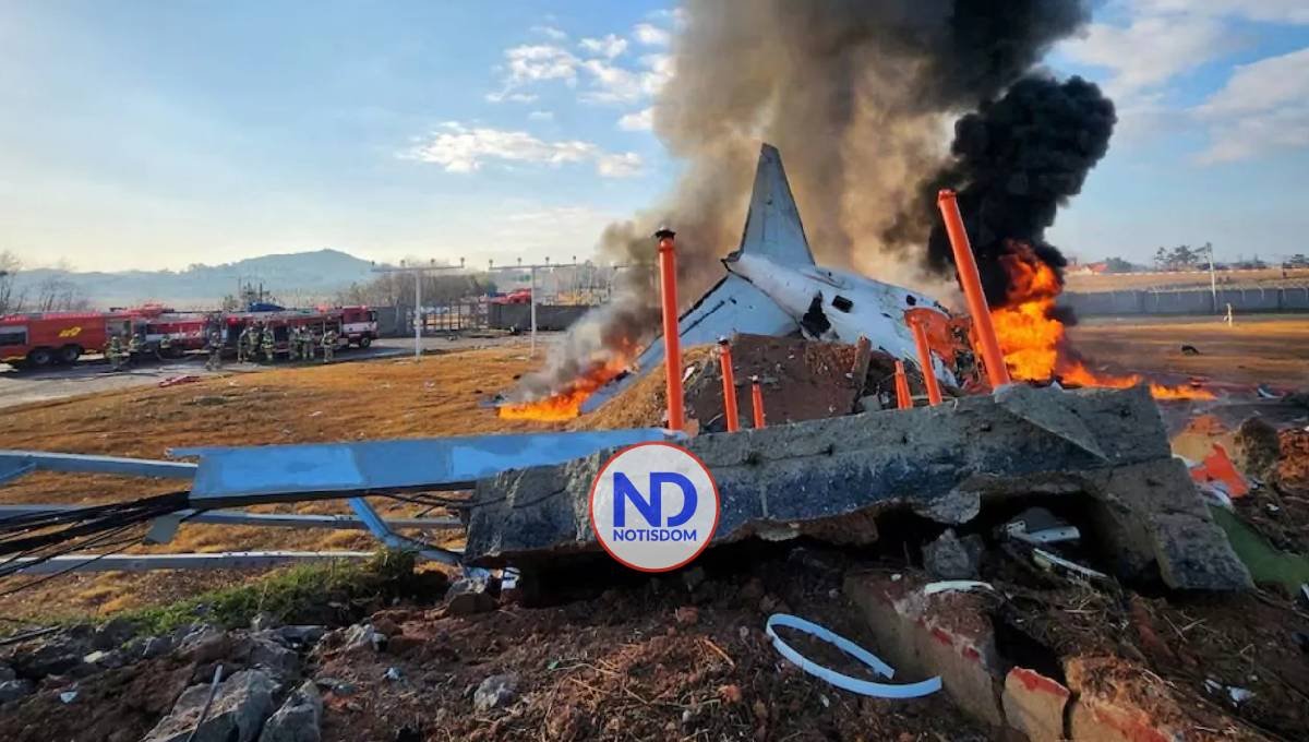 181 personas mueren tras estrellarse avión en Corea del Sur