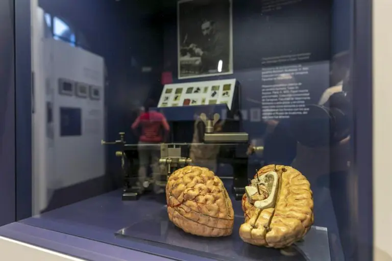 CEREBRO 22 ¿Cómo afecta el uso de las pantallas al cerebro de los niños?