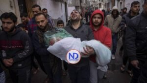 Amnistía Internacional acusa a Israel cometer genocidio en Gaza