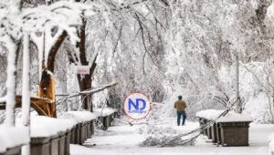 Noreste de EEUU bajo aviso de fuertes nevadas y frío ártico