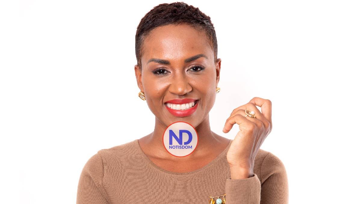 Experta cita razones por las cuales le niegan visa española a dominicanos 2 Experta cita razones por las cuales le niegan visa española a dominicanos