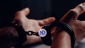 Dominicano se declara culpable de 21 cargos de robo