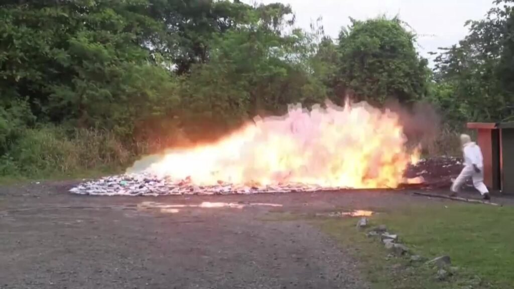Dominicana incinera cocaina valorada en 250 millones dólares 3 cocaina Dominicana incinera cocaina valorada en 250 millones dólares
