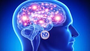 Descubren cómo la dopamina activa por separado la motivación y el refuerzo de conducta