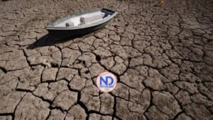 La OMS alerta de que la emergencia climática es “fundamentalmente una crisis de salud”