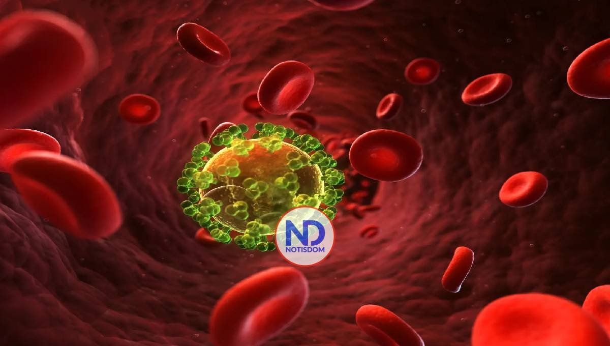 Científicos revelan nuevos datos sobre la relación entre el sida y el sistema inmunológico