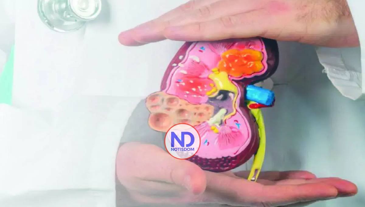 Historia, mitos y avances científicos del trasplante renal