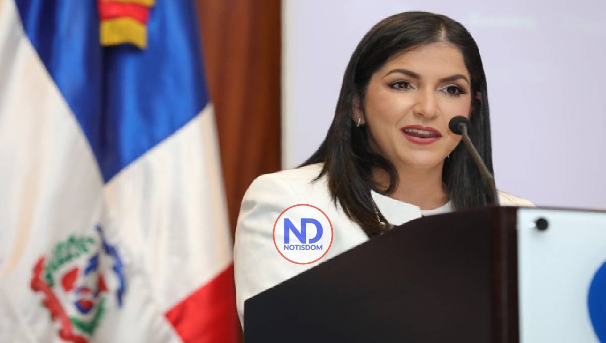 Exportaciones de mercancías dominicanas superan los US$12,925.1 millones al cierre del 2024