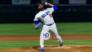 Leones y Tigres anuncian nuevos refuerzos para el round robin