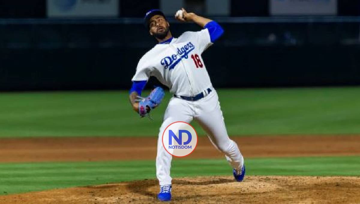 Leones y Tigres anuncian nuevos refuerzos para el round robin