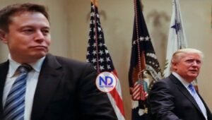 Surge la primera fisura en las relaciones entre Trump y Musk