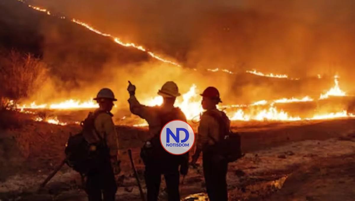 Reportan 16 desaparecidos por los incendios en Los Ángeles