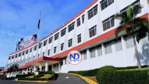 Tribunal Constitucional (8)