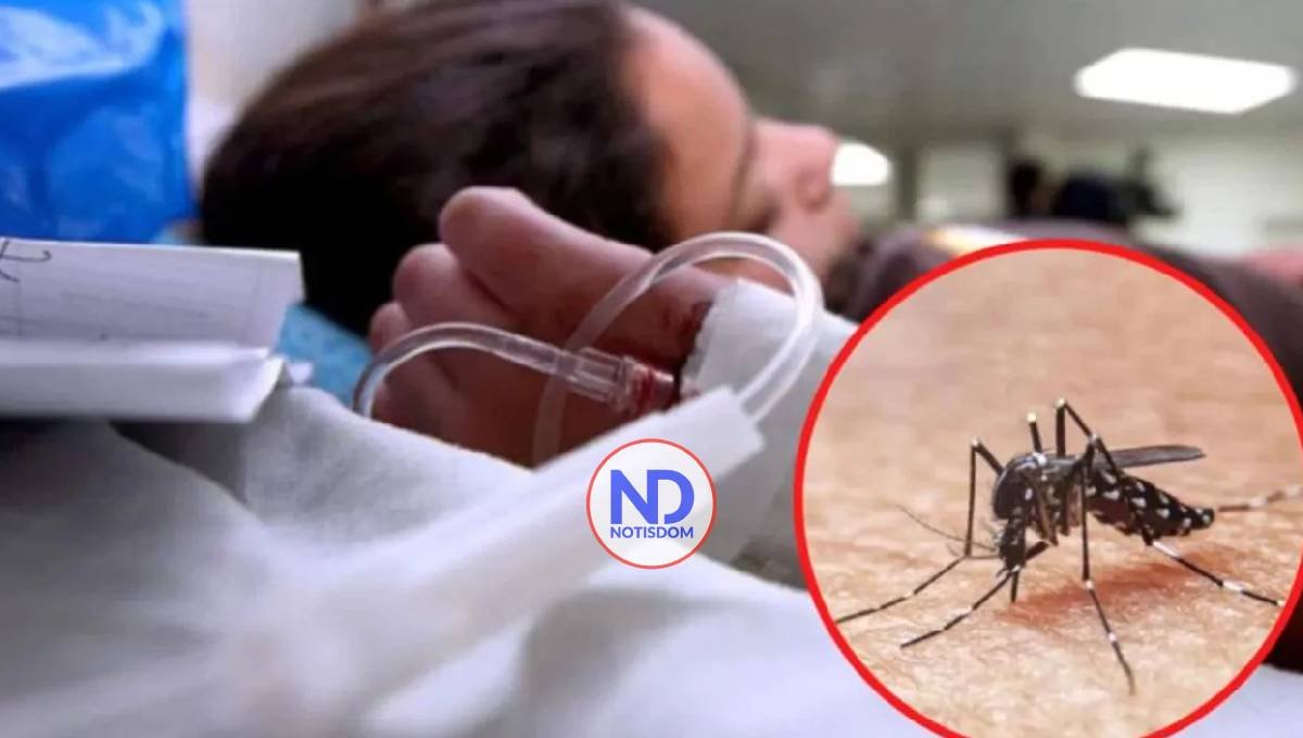 RD redujo casos de dengue en el 2024, mientras en el resto de América Latina crecieron