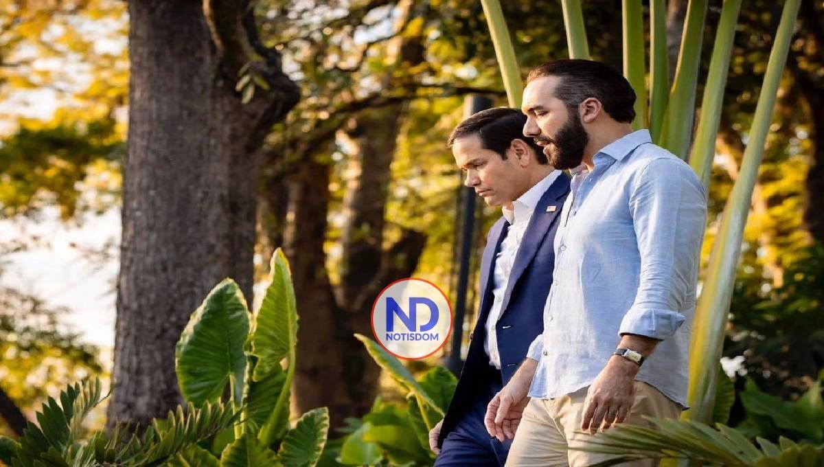 Bukele ofrece megacárcel para presos de EEUU y los migrantes 2 Bukele ofrece megacárcel para presos de EEUU y los migrantes