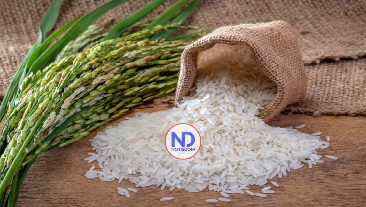¿El arroz es beneficioso para la dieta o malo para la salud?