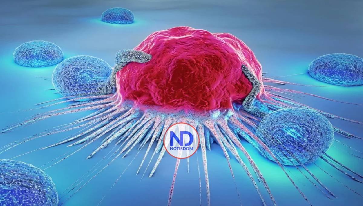 Sociedad de Oncología Médica revela muchos jóvenes sufren de cáncer 2 Sociedad de Oncología Médica revela muchos jóvenes sufren de cáncer