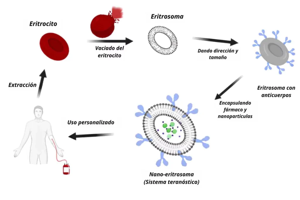cancer cerebral 1 Desarrollan innovador tratamiento contra el cáncer cerebral
