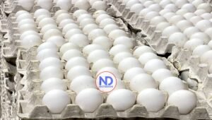 La ADA asegura RD produce 350 millones de huevos mensuales