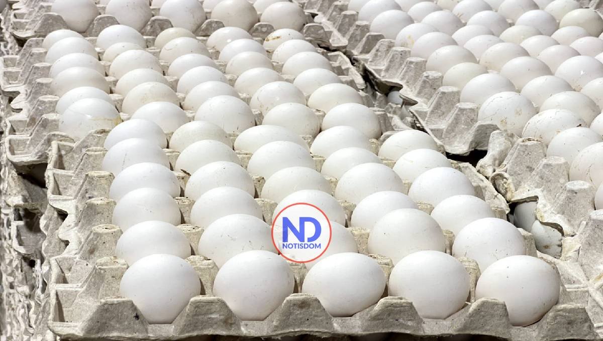 La ADA asegura RD produce 350 millones de huevos mensuales
