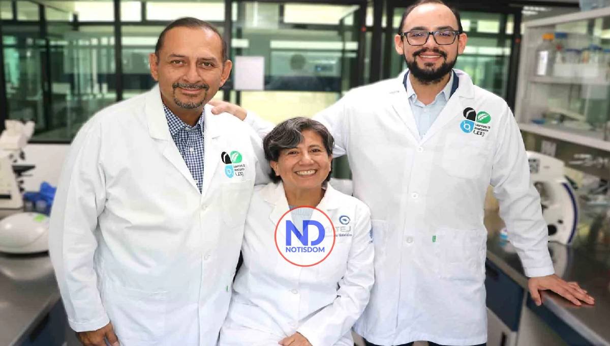 Desarrollan innovador tratamiento contra el cáncer cerebral
