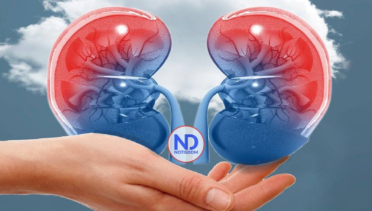 Apoyemos la donación de órganos para trasplante