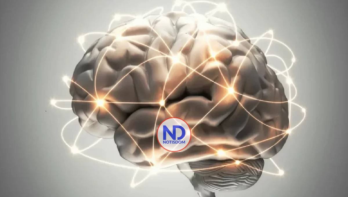 Construye hoy el cerebro de mañana