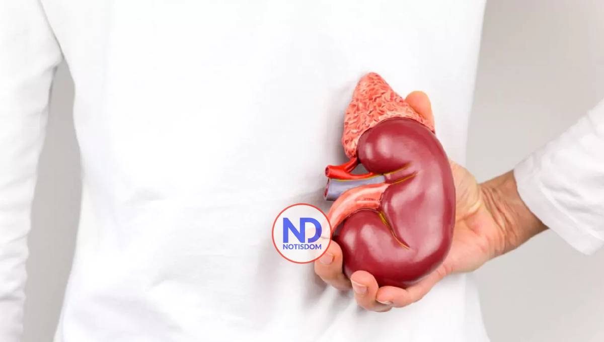 Día Mundial del Riñón