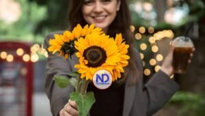 ¿Por qué se regalan flores amarillas el 21 de marzo?