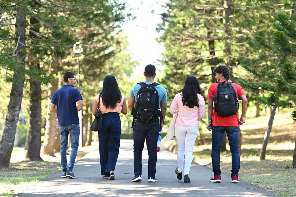 CAMINANDO Aseguran inclusión de las universidades es clave para alumnos con autismo