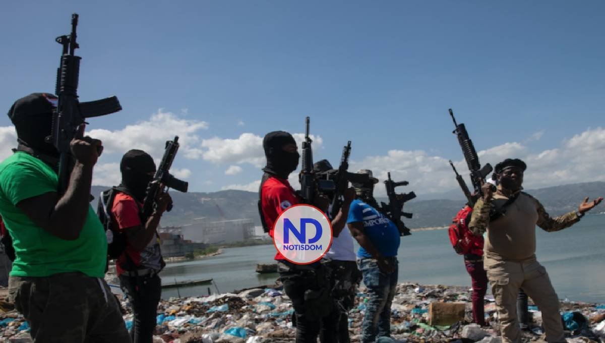 Avance bandas en Haití afecta mercado binacional Elías Piña