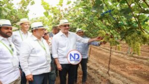 RD hace historia con inicio de despacho del primer contenedor de uvas hacia EE. UU.