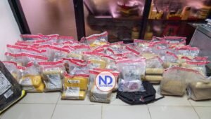 DNCD confisca 297 libras de marihuana en Pedernales
