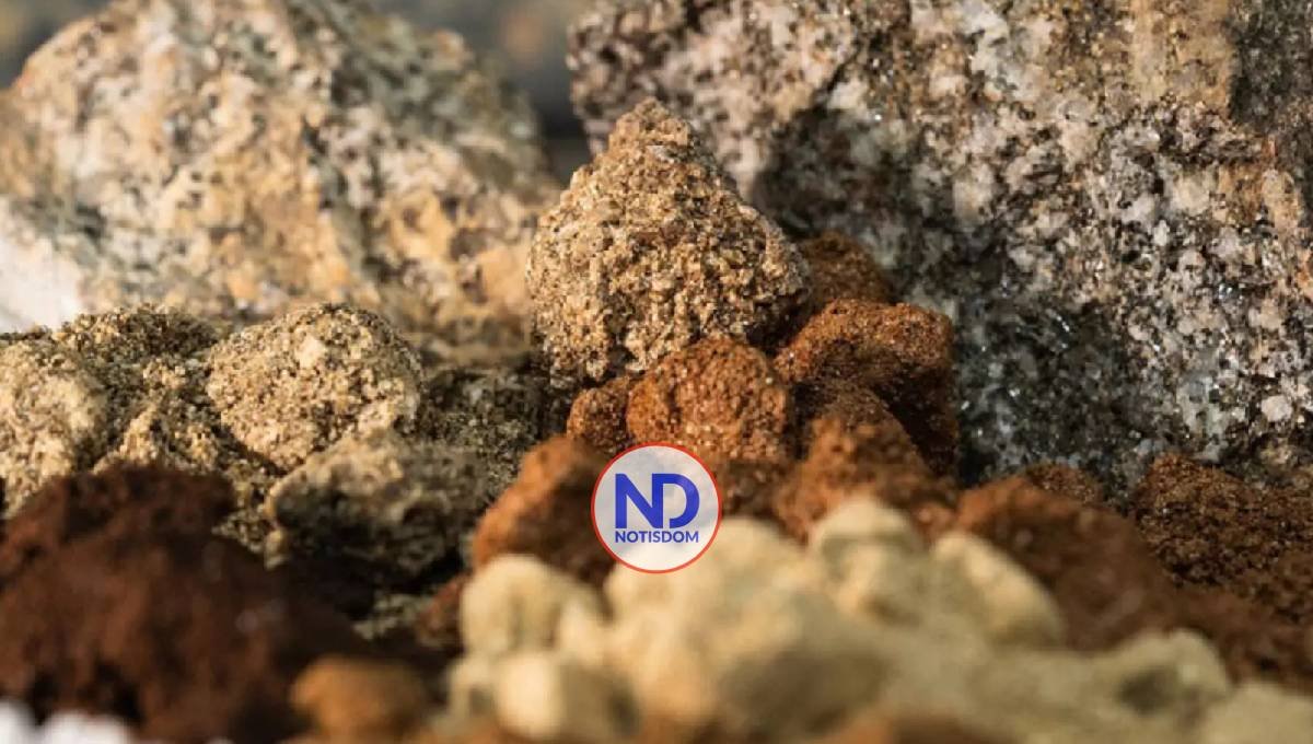 RD con la vista puesta en tierras raras en medio de la guerra comercial