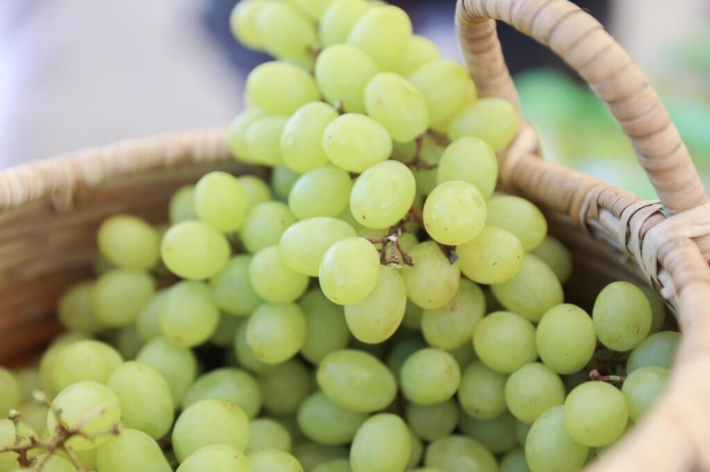 RD hace historia con inicio de despacho del primer contenedor de uvas hacia EE. UU. 4 Uva verdes RD hace historia con inicio de despacho del primer contenedor de uvas hacia EE. UU.