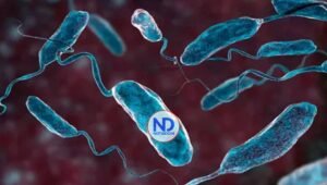 La OMS alerta sobre un aumento del 50 % en los casos y muertes globales por cólera