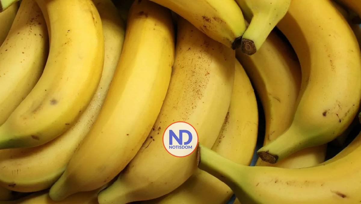 Comer guineo maduro a diario: ¿un hábito saludable o un riesgo silencioso?