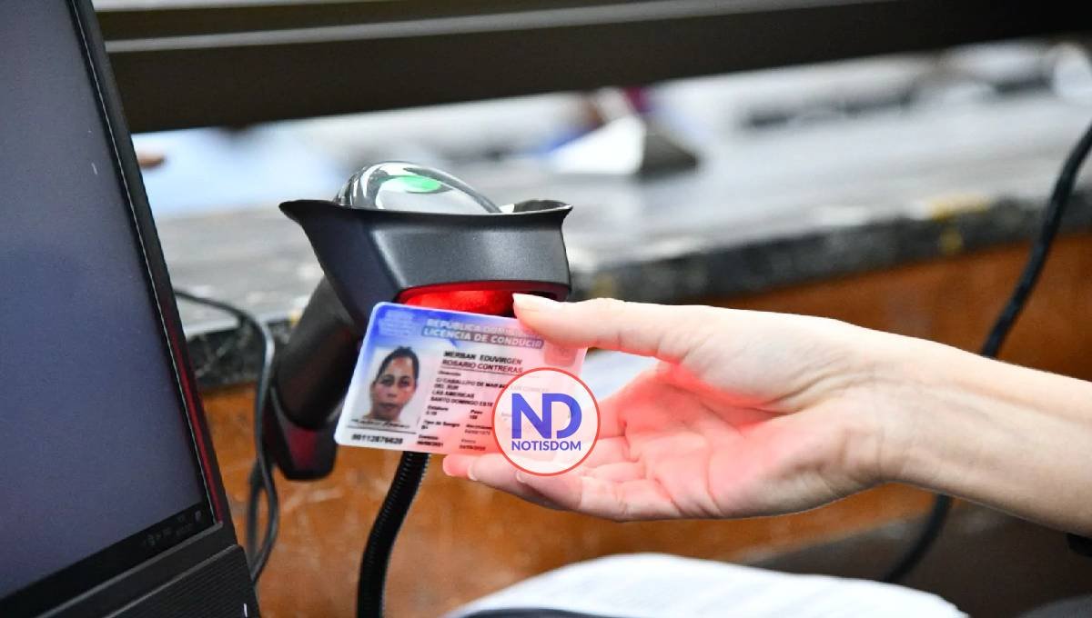 Intrant aclara que el Estado dominicano no invertirá ni un centavo en la licitación de las licencias